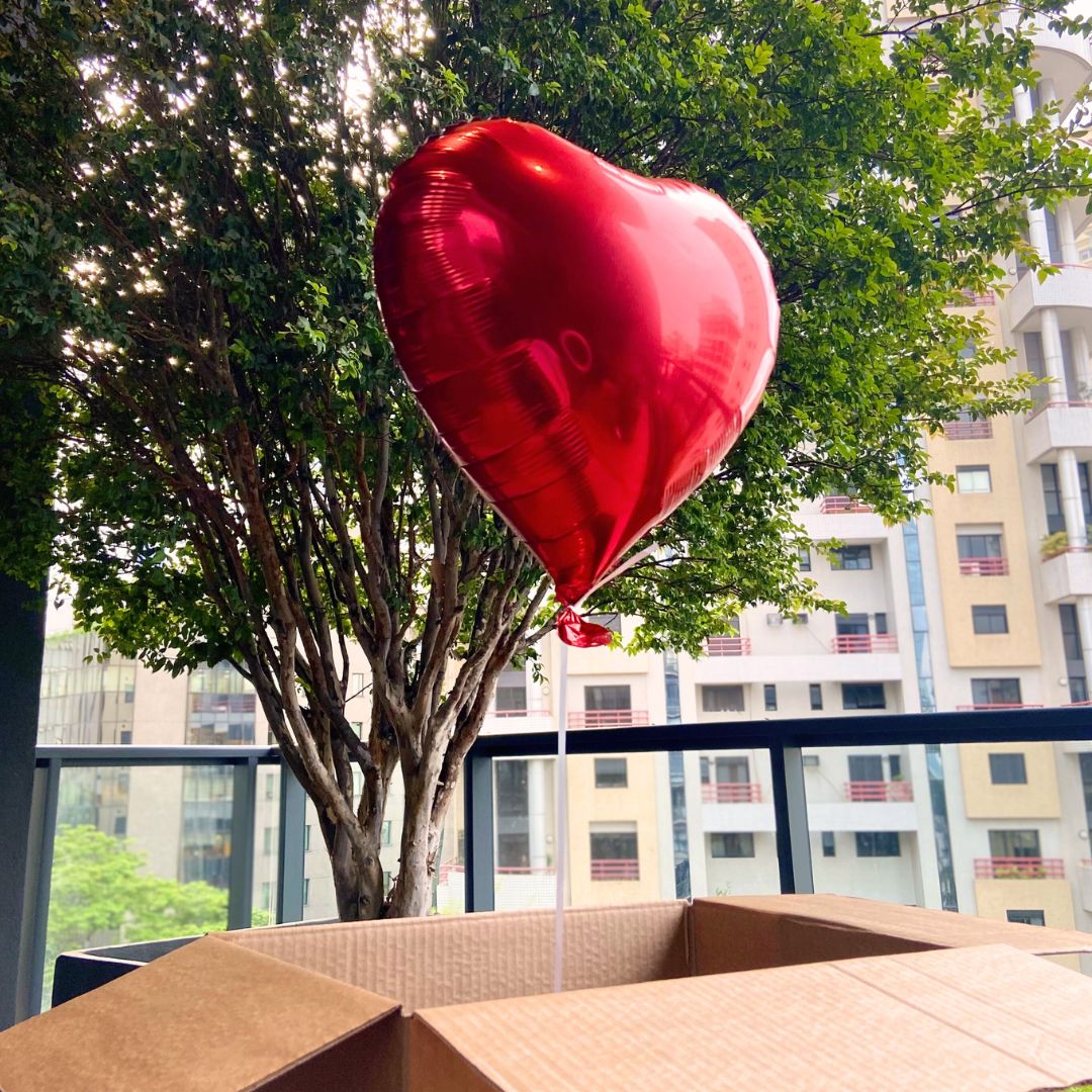Caixa de Balão Vermelho